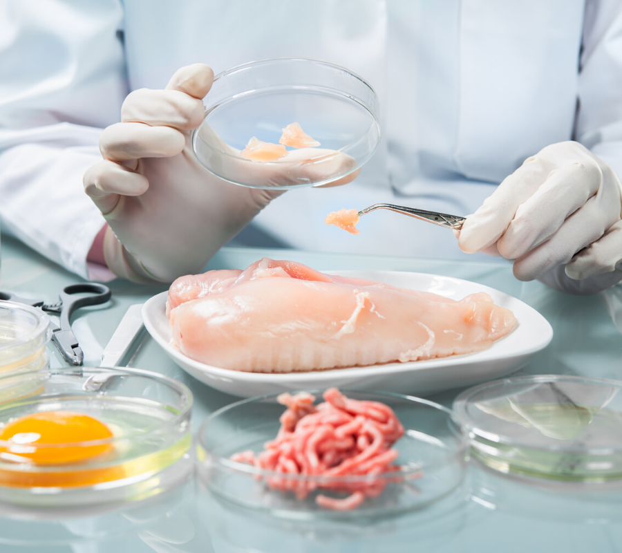ISO 22000 Certification