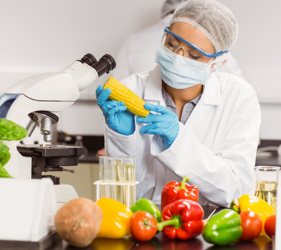 ISO 22000 Consultant